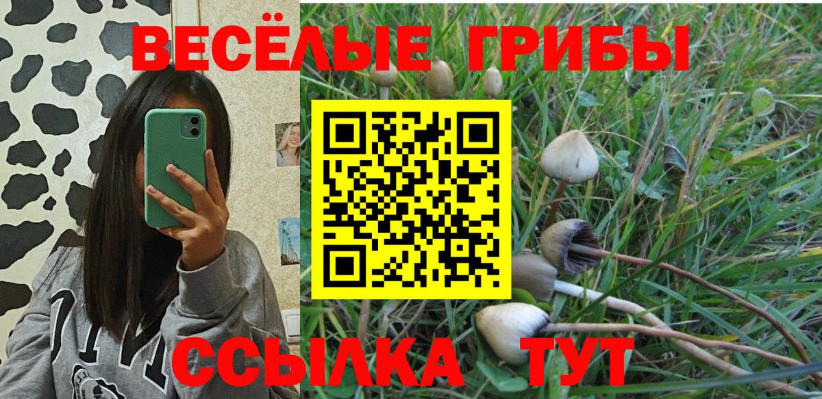 Псилоцибиновые грибы мицелий  Псилоцибиновые грибы мицелий  как найти закладки  Вход с VPN  Славянск-на-Кубани 