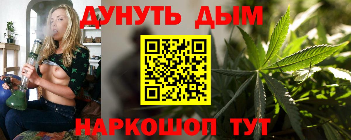 Бошки Шишки гибрид Славянск-на-Кубани